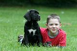 ENFANT ET CHIEN 498